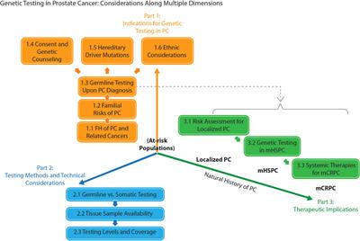 Genetic Testing and Its Clinical Application in Prostate Cancer Management: Consensus Statements from the Hong Kong Urological Association and Hong Kong Society of Uro-Oncology